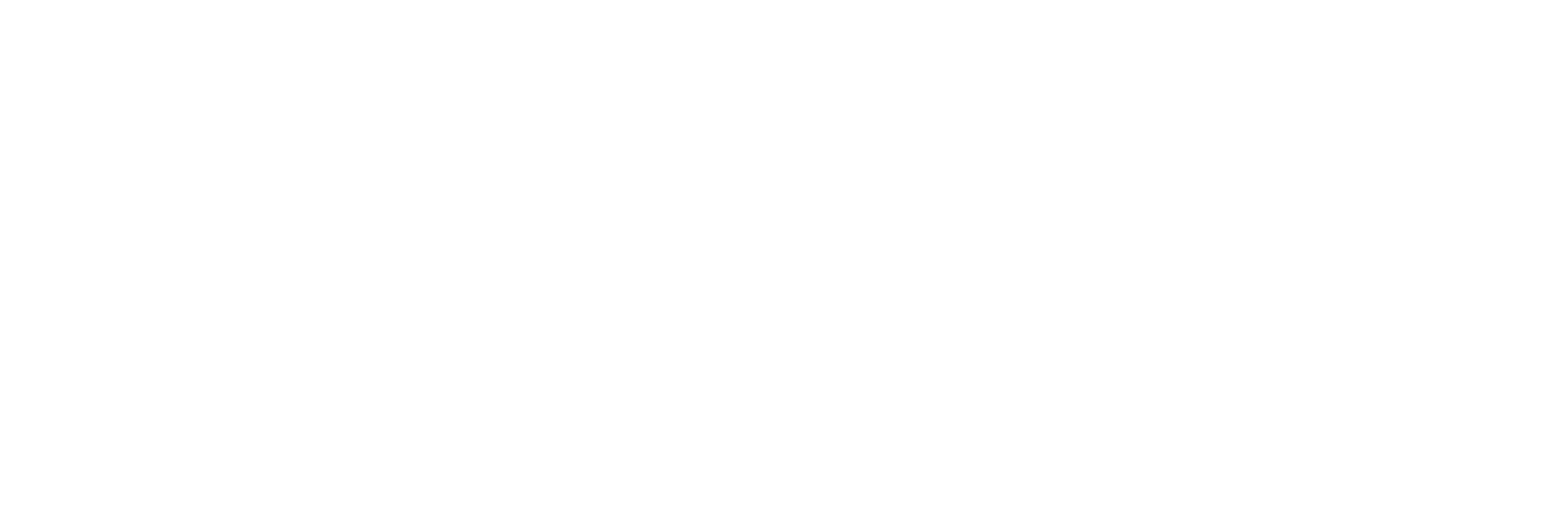 Logo weiß MVI PROMIND GmbH